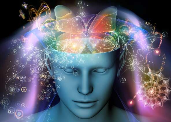 Conocer la mente a través de la meditación